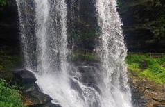 Healing Acres - Foto 54