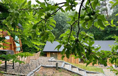 Rogaty Domek przy Bobrowisku - Foto 12