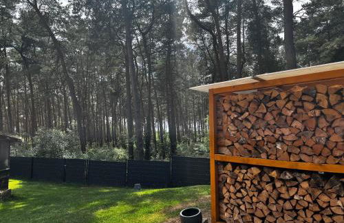 Kiefernblick - Foto 22