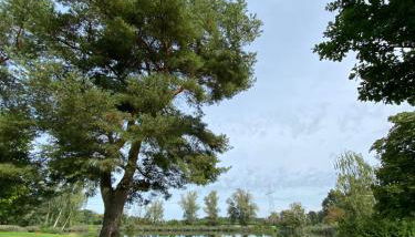 Tiny House, deine nachhaltige Unterkunft - Foto 4