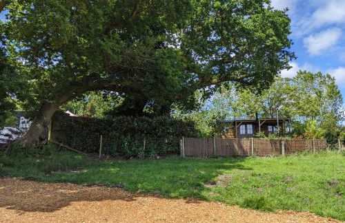 Hut in the Forest - Foto 15