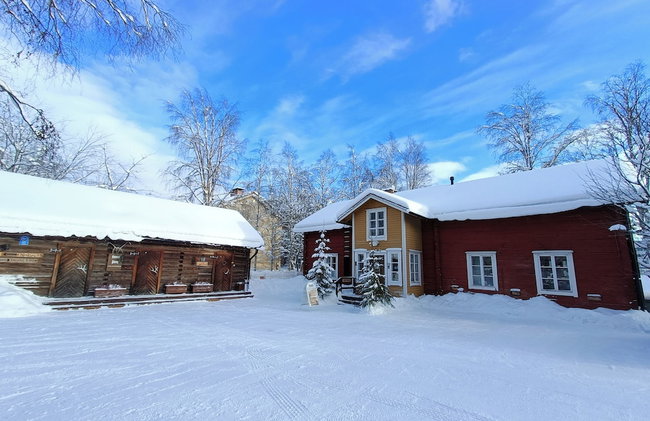 LAURI Historical Log House Manor - Foto 60