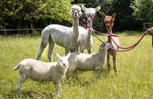 The Bolthole barn with wood-fired hot tub - Foto 18