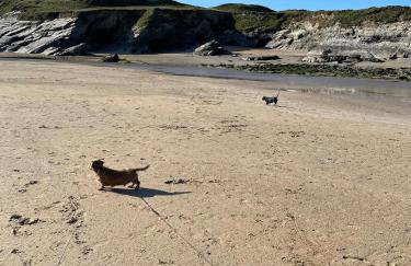 Atlantic Lodge - Foto 14