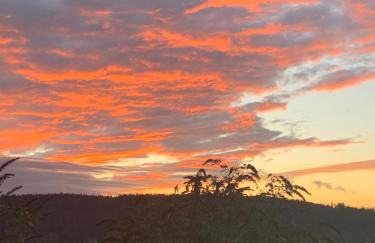 Stille x Weite - Hochwertige Wohnung mit See-Panorama - Foto 22