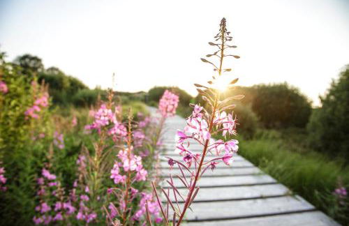 Haus Wunschlos Auf Aderich - Foto 47