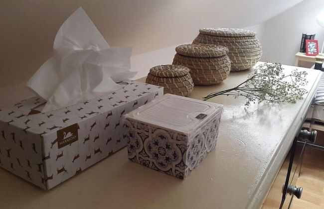 Attic Flat With Amazing Terrace - Foto 28