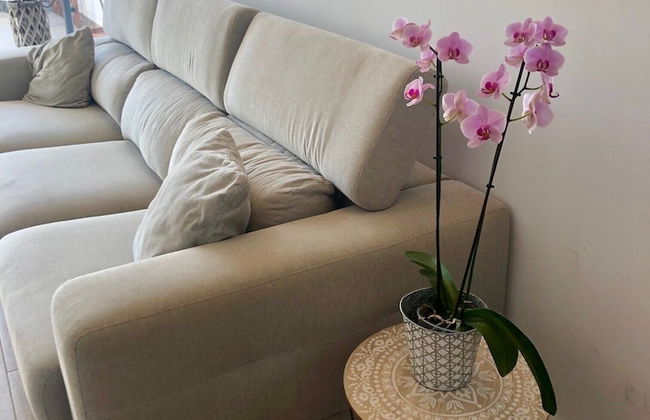 Vilamarlux III - Foto 13