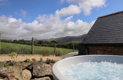 Bryn Eglwys Cottage - Foto 23