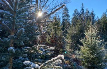 Appartement am See - Foto 30