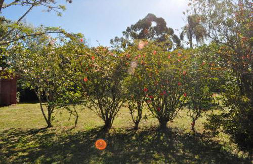Chácara das Flores - Foto 29
