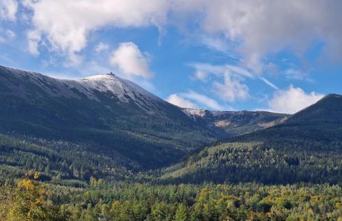 Apartamenty KADO (MATEJKI) - Photo 18