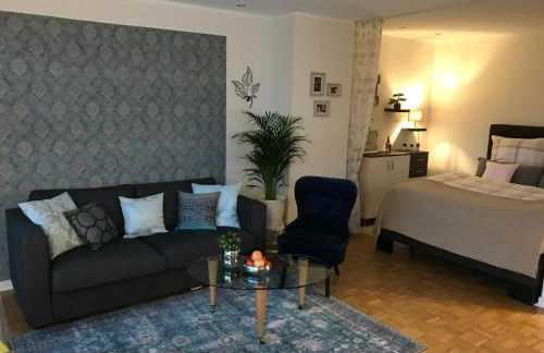 Apartment neu renoviert mit Sonnenbalkon und NETFLIX im Zentrum - Foto 5