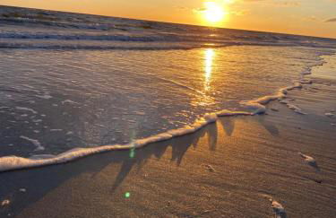 Land in Sicht - Foto 29