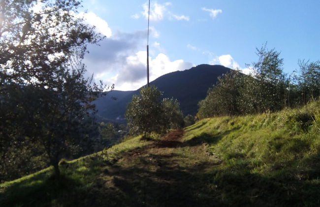 Agriturismo Locanda del Papa - Foto 36