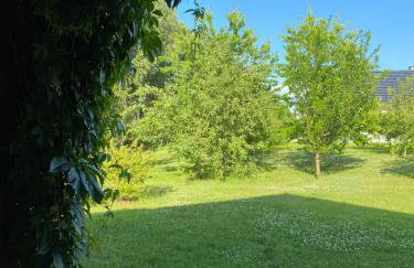 Domek na Rudzie - Foto 12