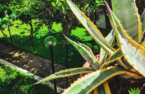 Villa delle Agavi - Foto 13