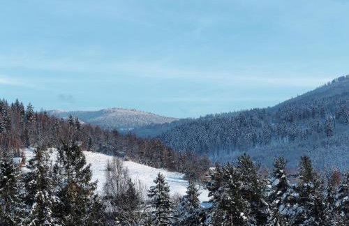 HillOut - Domek w Milówce - Workation - Praca zdalna - Foto 51