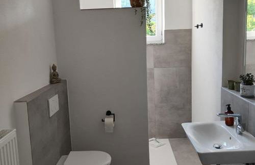 MAINTERRASSE Boardinghouse am Fluss klimatisierte Apartments mit 80qm Terrasse - Foto 8