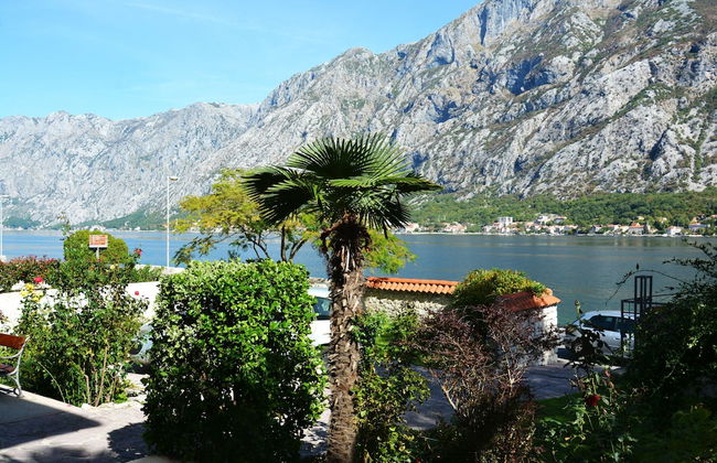 Apartments Cirkovic - Foto 54