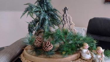 Ferienwohnungen Meindl - Foto 5