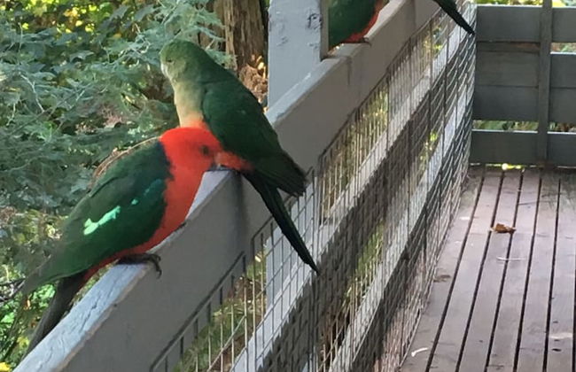 Steep Creek Retreat - Foto 14