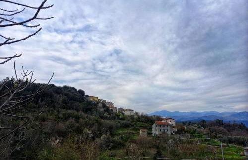 Casa Natale - Foto 61