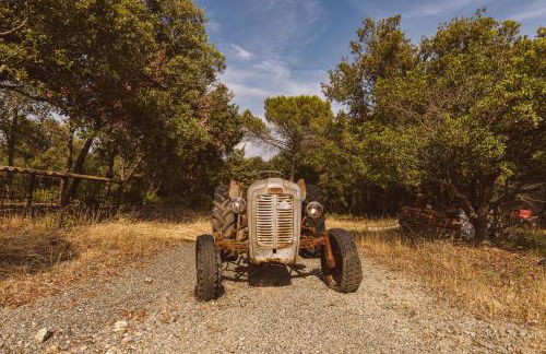 Borgo Le Colline Luxury Agriturismo in Tuscany - Foto 36