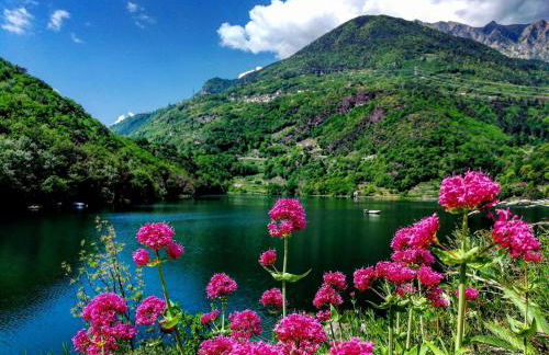 Casa Vacanze La CASA DEL SOLE - Foto 54