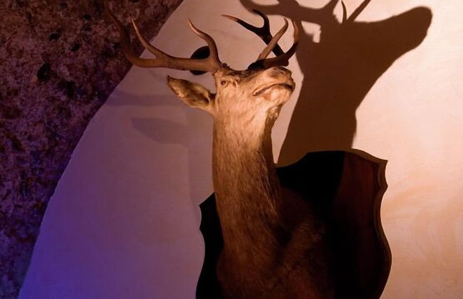 Agriturismo Monte Due Torri - Foto 69