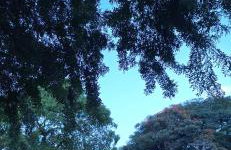 Studio Luxo decorado total Ar condicionado - Foto 4