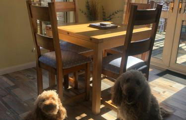 Lukes Lodge, where the fun begins, Woodland View, Hot Tub, dog friendly - Foto 51