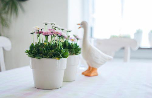 Mon Plaisir - Photo 18