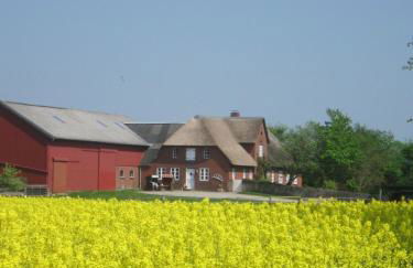 Ferienwohnung Benninghusum - Foto 22