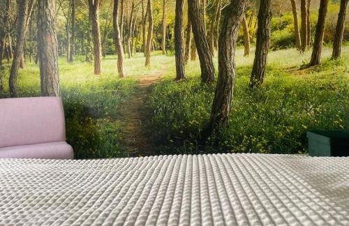 Ferienhaus Ferienwohnung Petermännchen - Foto 21