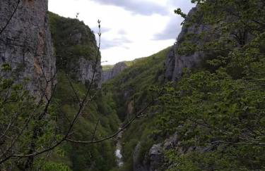 Βίτσα Πετρόκτιστο Αρχοντικό "Ιόλη" με θέα Ζαγόρι - Foto 67