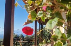 Efi Loutses - Foto 28