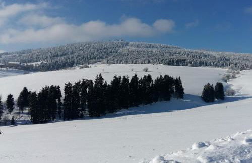 Ferienwohnung Familie Leupold - Foto 26