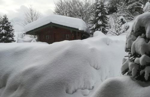 Haus Schmidberger - Foto 26