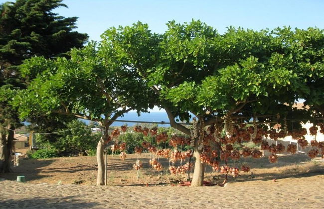 Agriturismo Pagliuzzo - Foto 13