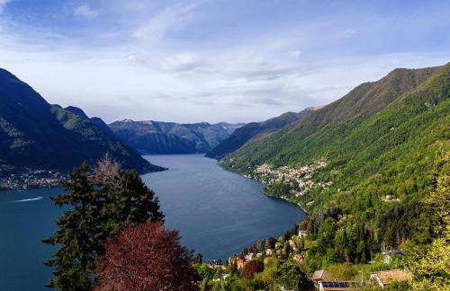 Green Molina - Foto 7