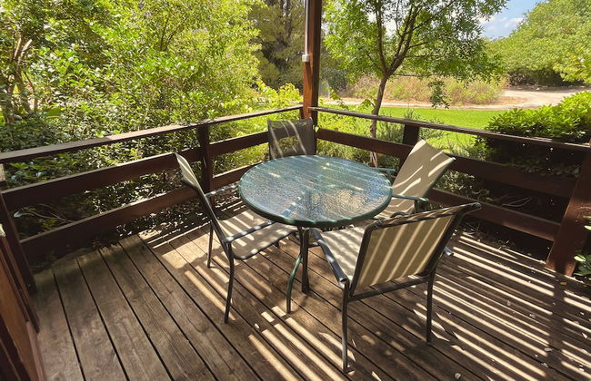 Nofey Habashan - Foto 40