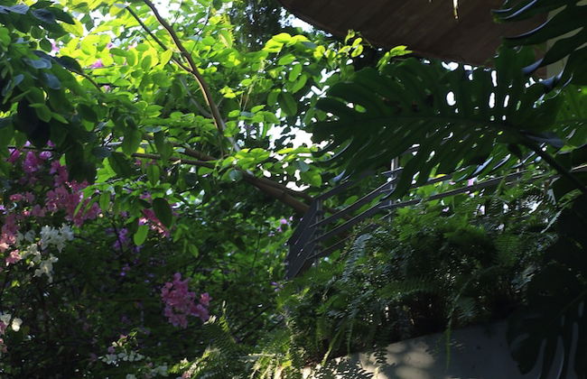 CityHouse - CityOasis - Foto 31