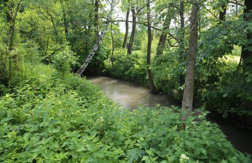 Gospodarstwo Agroturystyczne Stary Młyn Wilczkowice - Foto 39