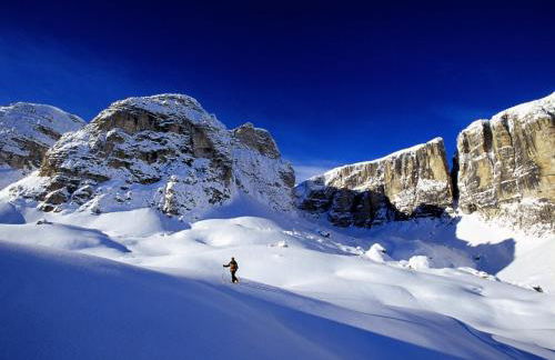 Alpine Chalet Sauter - Photo 74