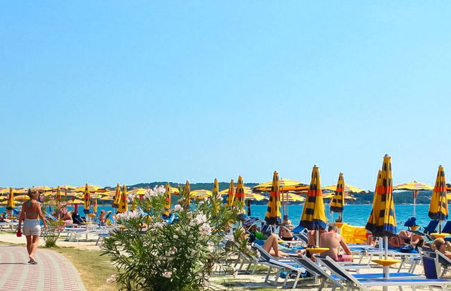 Forest Fairy - Foto 35