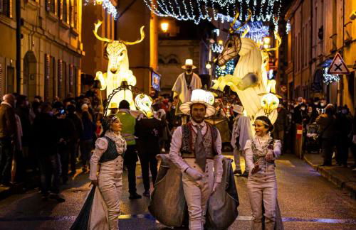 La Dragonne, centre de Bellême, maison entièrement équipée, jardin, vue forêt - Foto 37