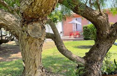 Location à Porto Vecchio - Foto 52