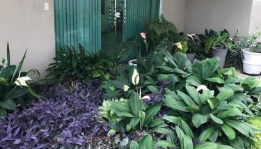 Flat completo próximo ao INPA - Foto 2