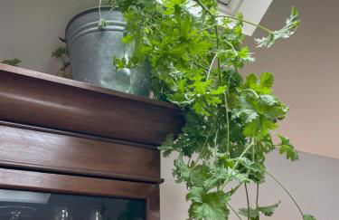 The Walled Garden at Cheshire Boutique Bathhouse - Foto 23